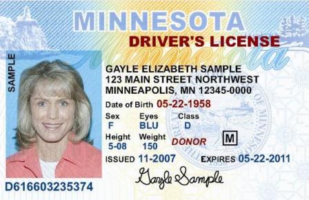 Minnesota State Laws On Fake Ids